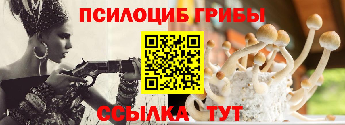 цена   Вход с VPN  Псилоцибиновые грибы Psilocybe  Павловский Посад  Галлюциногенные грибы прущие грибы 